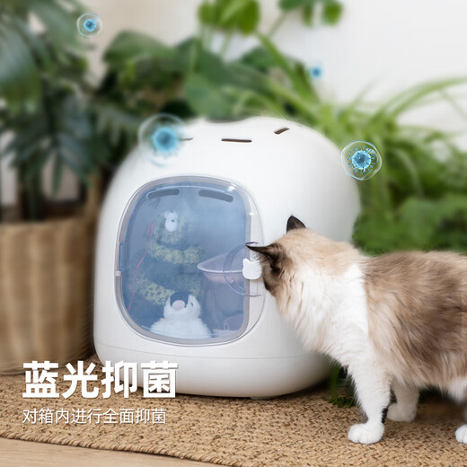 Yopet pet drying box cat and dog bathing dryer British short ragdoll Bichon blow drying box small and medium-sized household pet drying box negative ion + Bluetooth smart connection flagship model