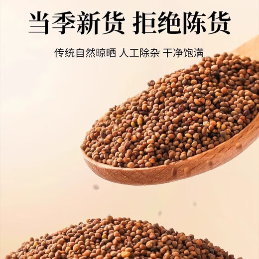 苓仙谷沙苑子正宗中药材菟丝子和沙宛子茶枸杞泡水泡茶的功效 【罐装】沙苑子250g+菟丝子250g