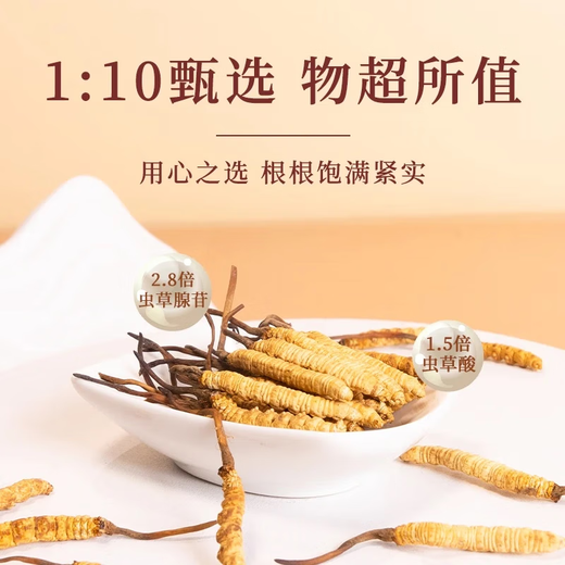 Cordyceps sinensis, caja de regalo de Cordyceps de gran altitud en áreas tibetanas, regalo para su propio uso, 3 palos 1 gramo [100 Box de regalo exquisito]