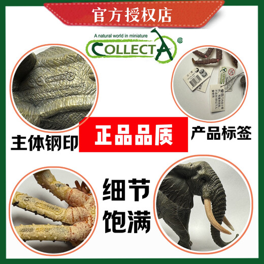 COLLECTA【mini套盒】动物模型 mini小动物 宝宝感官盆模型 儿童生日礼物 A1105 盒裝迷你野生