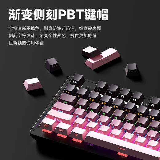
Fenglingdu K870 side engraved gradient mechanical keyboard wired e-sports game chicken eating LOL keyboard desktop home notebook typing office keyboard 104 key white and blue gradient [mixed light] blue axis