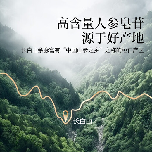 Tongrentang Marke Beijing Tongrentang Ginsengscheiben 90g Changbai Mountain getränkter Wein, nicht medizinisches, in Scheiben geschnittenes Gesundheitstonikum für Eltern