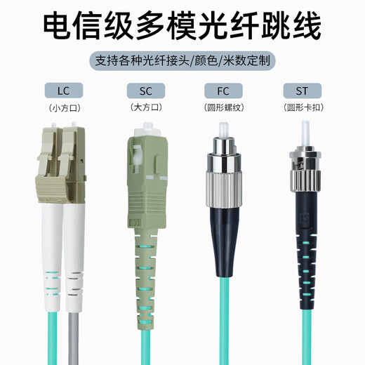 Youpulian 10 Gigabit armored multimode fiber jumper dual core/4 core/6 core/8 core LC-lc OM3 tail fiber optical module fiber optic cable anti-bite and pull LAN optical brazing 10 Gigabit armored multimode dual core LC-LC (connectors can be customized) 3 meters