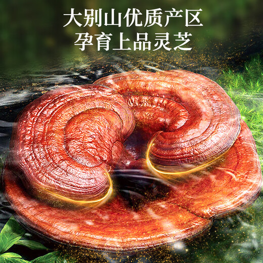 雷允上破壁灵芝孢子粉胶囊 90粒瓶装 术后康复中老年人增强免疫力保健品 孢子粉胶囊3瓶装-2个月周期