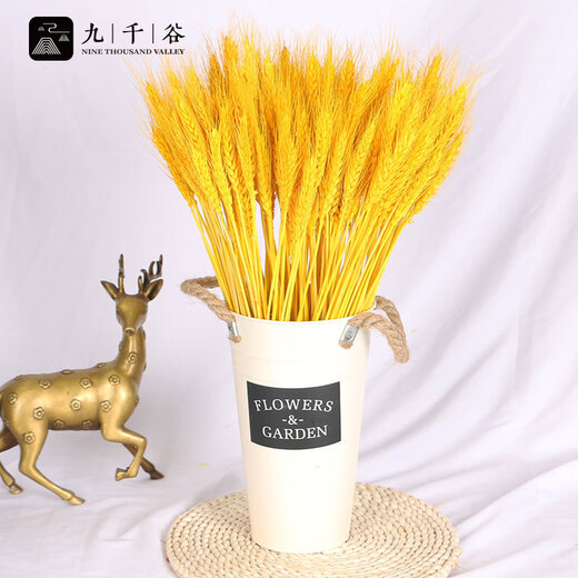 Jiuqiangu wheat ears dried bouquet opening housewarming barley decorative ornaments living room entrance fake flower arrangement gold 100 pieces 4398