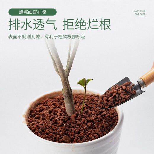 Stanley volcanic stone bottom granular volcanic rock bottom sand natural succulent orchids special flower cultivation paving stone fine volcanic stone 3-6mm 5Jin Jin equals 0.5 kg