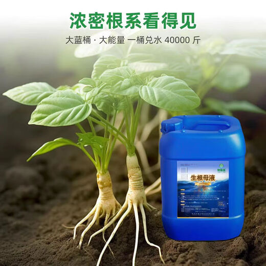 Zhongxiquan Rooting Mother Solution Breathable Rooting Agent Nutrient Solution Organic Fertilizer Fruit Trees Flowers Vegetables Rooting Strong Seedlings White Genduoduo 50Jin Jin is equal to 0.5kg *2 barrels delivered to villages and towns