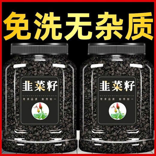 Peking Tongrentang Qualität gekochtes Schnittlauch authentische gebratene Schnittlauch Samen chinesische Kräutermaterial