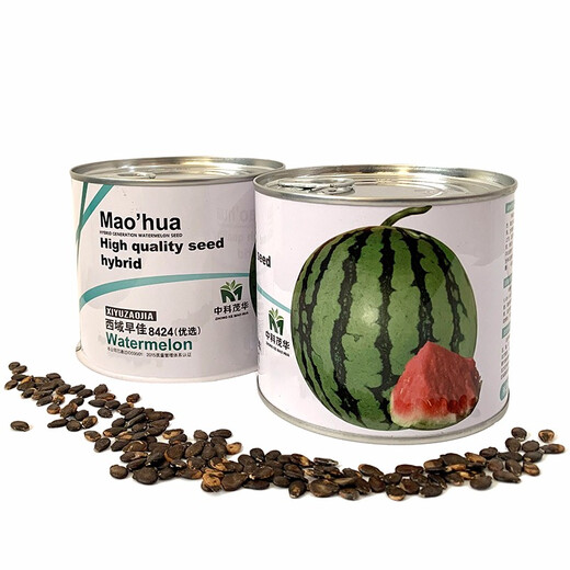 Zhongke Maohua vegetable and fruit seeds Xiyu Zaojia 8424 watermelon seeds Xinjiang 8424 Kirin watermelon seeds high purity Xiyu Zaojia 8424-1000 capsules/box