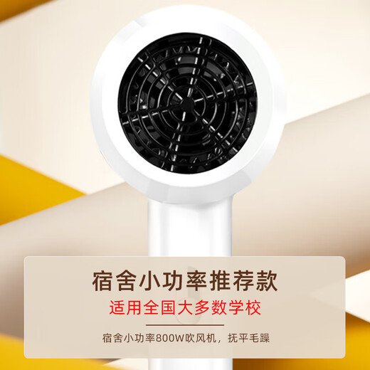 Yier Hair Dryer Home Male and Female Student Dormitory Hair Dryer Blue Light Negative Ion Constant Temperature Hair Care Large and Small Power Portable 800W Fashion White 800W (Special for Family and School Dormitories)