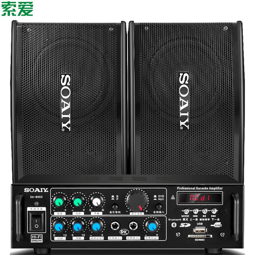 索爱 卡包套装 家庭影院KTV音响套装家用商用会议设备卡拉ok专业功放机低音炮蓝牙音箱带无线话筒 6.5寸简装版（KTV小包音效）