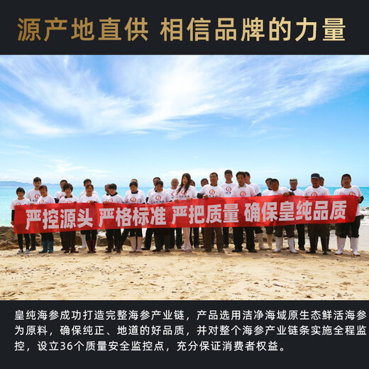 皇纯即食海参净重2斤 有机认证 威海冷冻刺参礼盒鲜食免发泡 即食海参 1kg 臻品2斤(6-10只/斤)