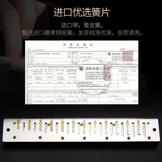 国光上海口琴24/28孔C调复音重音成人专业演奏级儿童老人送礼初学推荐 24孔 梦境黑 复音C调