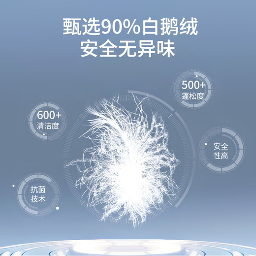 Yalu goose down down pants for women 2025 winter new fashion workwear windproof and warm loose straight casual casual sweatpants black S