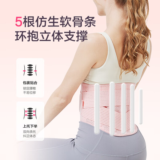 京东京造 护腰健身腰带女收腹束腰运动深蹲硬拉腰间盘腰椎护具腰托 L码