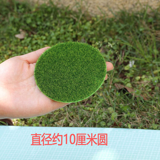 Ancient style fake lawn model desktop building green micro landscape simulation moss ecological bottle decorative bonsai grassland about 30 cm square ((measure the size you need)
