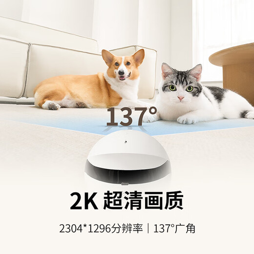 Aktivieren Sie das ganze Haus Mobile Walking Camera EBO Begleiter Roboter Fernbedienung Fernbedienung Wireless Überwachungskamera Rola Mini Pet Begleiter Spielzeug Roboter Rola Mini-128g (kann für 8-12 Tage aufbewahrt werden)