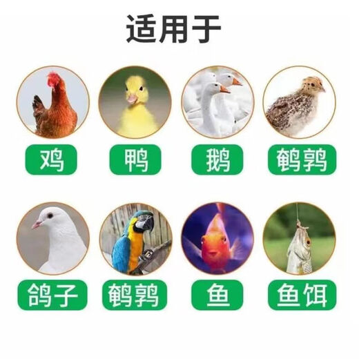 Quail chicken feed, large chicken compound feed, broiler, layer chicken premix, chicks, goose, duck and goose feed, chick food 5Jin Jin is equal to 0.5 kg