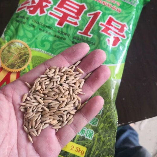 Upland rice seeds Zhenghan No. 10 Yield per kilo Jin Jin is equal to 0.5 kilograms Indica rice Luodao 998 Direct-seeded rice conventional rice seeds Dan upland rice 53-500 grams