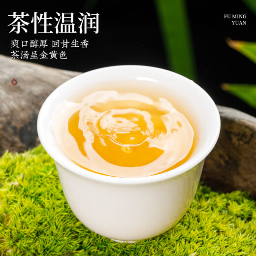 音朗乌龙茶叶 安溪铁观音 2025新茶春茶正宗兰花香清香高山茶罐装120g