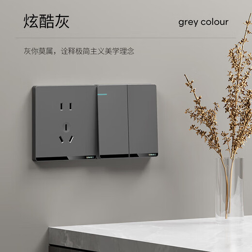 International electrician switch telephone porous single and double control power panel air conditioner multi-function wall two-open dual control switch