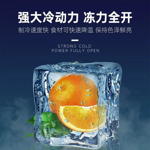 冰熊冰柜商用大容量大冰柜商用全冷冻柜卧式冰柜家用大容量冷藏冷冻两用冰柜全冷冻无霜冷冻冰柜大容量 【全铜管】1098升/约2.4米单温冰柜