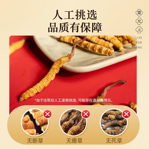 雷允上冬虫夏草4根/g 10g约40根 冻干父亲节礼盒送父母长辈礼物