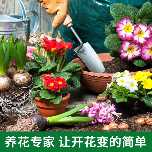 Sowing Mood Plant Universal Concentrated Nutrient Solution Hydroponic Family Planting Flowers and Vegetables Vegetables Flowers Succulent Green Plant Special Fertilizer Plant Universal Nutrient Solution 1 Bottle 500ml No Specifications