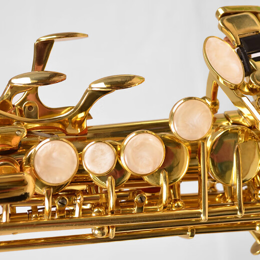 Golden Tone Saxophon Windinstrument Anfänger Übung professionelle Bewertungsband Performance Golden Jyss-E100