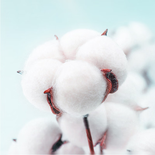 Made in Tokyo, 138g thickened and extra-large Awati long-staple cotton towel 7A antibacterial, lint-free, pure cotton face wash and hand towel 3 pieces