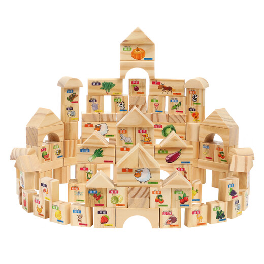 Sangetian (Sangty) Kinderbausteine ​​intellektuelle Puzzle -Form -Bausteine ​​zusammengebaut Spielzeug 100 Spielzeug für kleine Kinder, Jungen und Mädchen (2909) 100 Gemüse, Obst und Tiere Bausteine