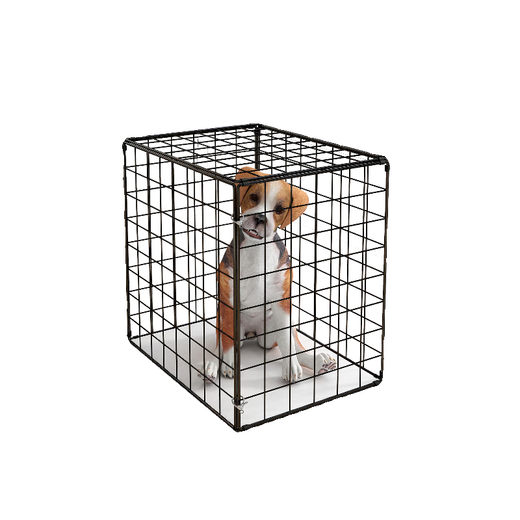 Cat Cage Home Super Large Free Space Cat Nest Dog Cage Puppy Cage Six Sides Portable Folding Pet Cage White 30*30*20cm 6Jin Jin equals about 0.5kg