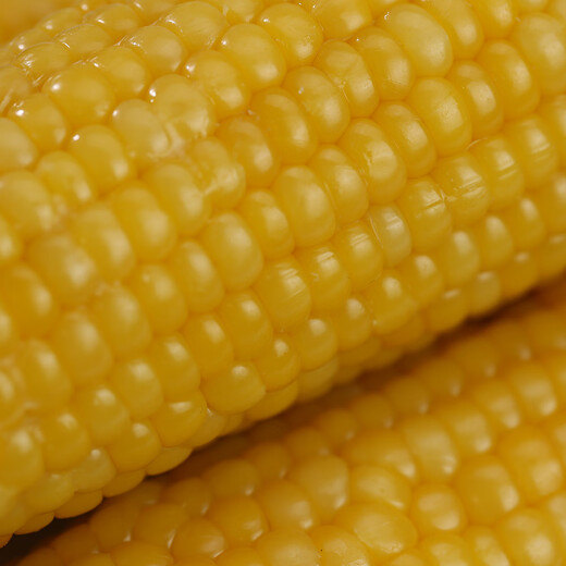Good Farmer Inner Mongolia yellow waxy corn on the cob 8 bags*220g, soft and waxy, sweet, vacuum-locked, straight from the source, gift box