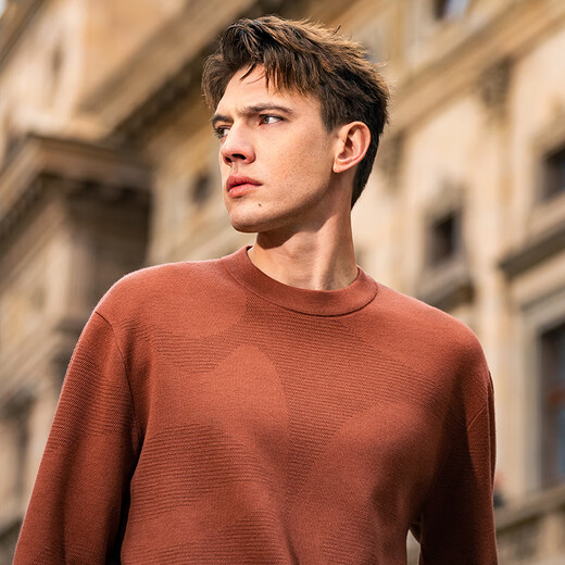 Mr. Stoff Silhouette-Pflanzenmuster Jacquard Design Langarmer Pullover 2025 Frühling und Herbst warme hautfreundliche Strickjacke Pt15601 Sattel Brown 2xl (185)