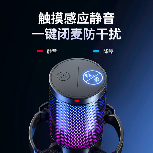 闪克（Sudotack）游戏麦克风电脑电竞直播降噪收音麦手机录音K歌有线话筒闪客DM20