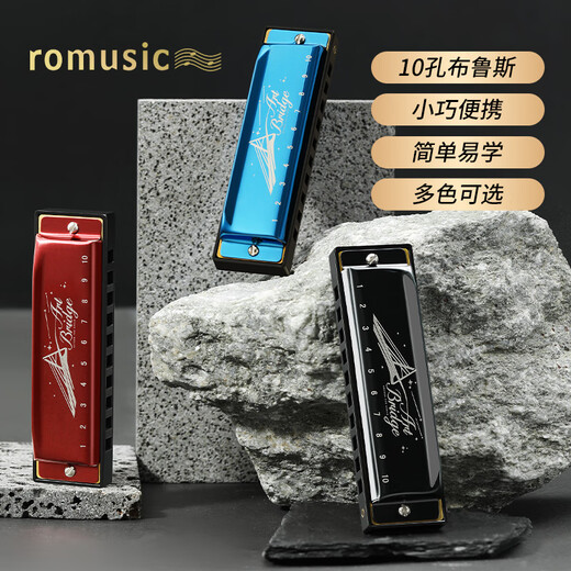 romusic10孔布鲁斯口琴C调成人儿童初学推荐演奏款口吹琴银色RA-410