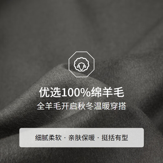 EMZ Ordos 100% sheep wool autumn and winter jacket classic lapel short wool jacket for men