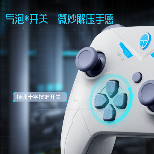 Thunder (ThundeRobot) G30S Ice Blue 2.4G/Wired/Bluetooth Game Controller XBOX Wireless Controller Hall Linear Trigger Rocker Height Switching Double Line Dragon's Creed 2