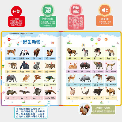 广爱儿童早教03-6充电中英文电子书识点读学习机宝宝拼音有声读物 识字大王3900字-50面-充电款