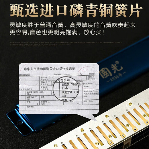 Guoguang Guo Dream Professional spielen harmonische 24-Loch-Polyphonische #A/B/C/D/E/F/G-Anpassung Adult High-End-Wettbewerb Harmonischer 24-Loch-#D (E-Floating) Polyphonischer Schwarz [Leistungsniveau]