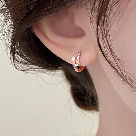 Luruo 2024 New 18K Gold Rose Gold Nail Earrings Women's Light Luxury Niche Earrings High-end Temperament Earrings Rose Gold Earrings