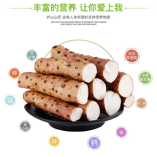 Jingxiansheng Jiaozuo Wenxian sandy soil iron rod pregnant yam Net weight 5Jin Jin is equal to 0.5kg 40-50cm fresh vegetables straight from the source