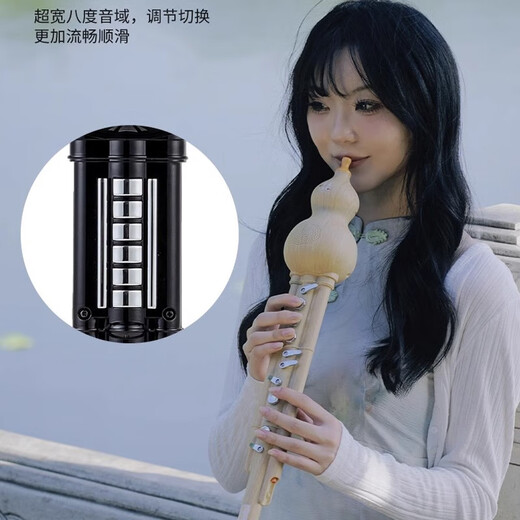 Bainuo Huaxia's Rhyme Electric Hoist Silk Musical Instrument Domestic Electronic Blow Tube Hulusi Electronic Electric Electric Sakura Instrument de musique débutant Jinzhu Couleur