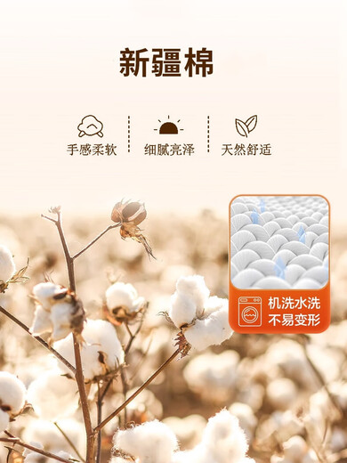 Mercury Series Class A light luxury style Xinjiang long-staple cotton four-piece pure cotton embroidered quilt cover pure cotton simple fitted sheet high-end bedding maternal and infant grade A class cotton (pink) 1.8m bed sheet style four-piece quilt cover 200x230cm