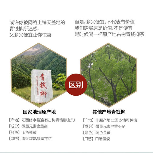 青钱柳叶茶嫩叶颗粒江西修水正品野生清金钱柳养生神茶叶中草药材 1500米左右野生古树青钱柳500克 正宗修水野生青钱柳嫩叶