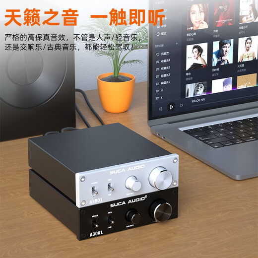 
SUCA AUDIO Voice A3001 Mono AV Home Theater 2.1/5.1/7.1 Subwoofer SUB Mid-mounted 300W Digital Amplifier Black [with 32V/5A Power Supply]