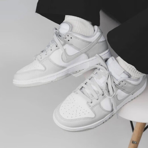 耐克（NIKE）官网官方鞋子男鞋dunk灰白潮流低帮防滑板鞋复古运动休闲鞋板鞋男 DD1391-103 40.5