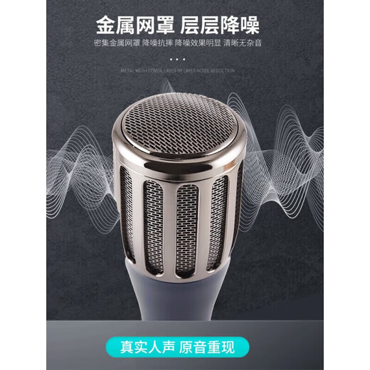 韩湘子(防伪可查询)专业高保真大振膜48V电容麦克风录音棚设备直播电台电脑手机声卡有线话筒 韩湘子 5010
