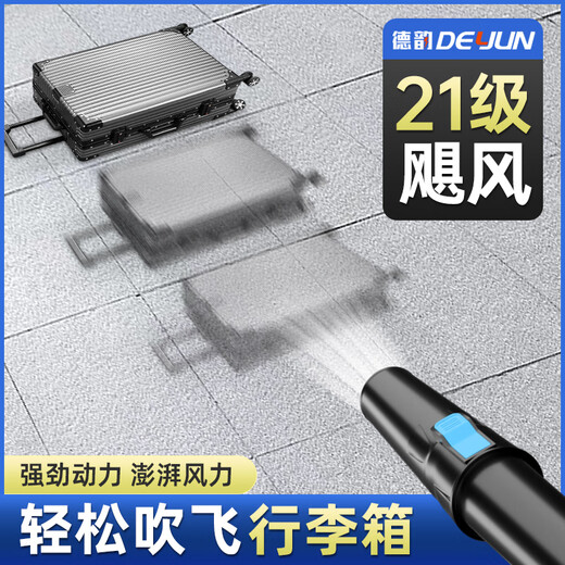 Yuechangsheng secador de cabello alta potencia industrial 220V potencia polvo de polvo de litio litio pistola soplando hojas de nieve soplando tormenta tierra yun dy cargando tormenta pistola 3888tv2