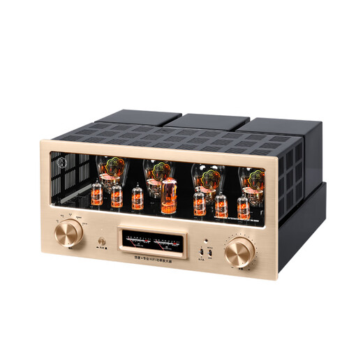 Amplificador de bilis Youtang Mk9000 Nivel de fiebre 300B Amplificador de tubo electrónico Hifi Bilio de alta gama Un amplificador de bilis de empuje de clase A PURO MK9000 300B AMPLIFICADOR DE BILE